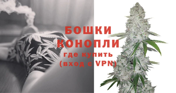 гидра Мегион