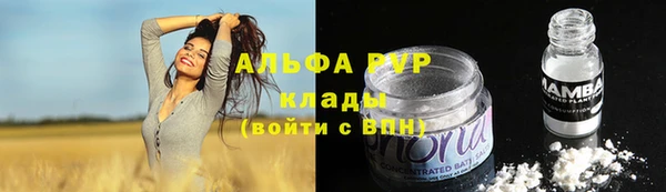 тгк Магас