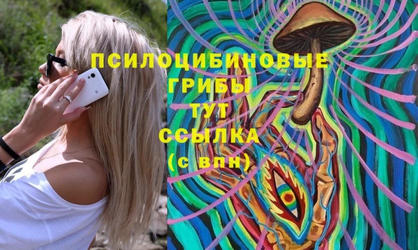 тгк Магас