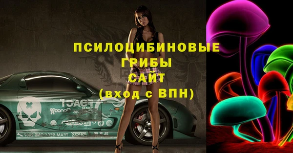 тгк Магас
