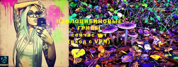 гидра Мегион
