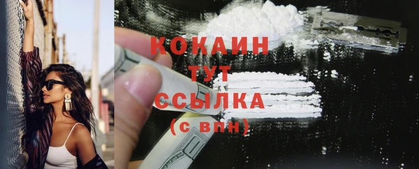 тгк Магас