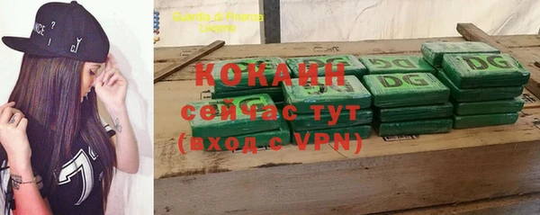 тгк Магас