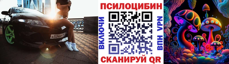 hydra вход  Тимашёвск  Псилоцибиновые грибы MAGIC MUSHROOMS 